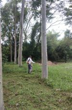 Funcionarios de Aseo Urbano